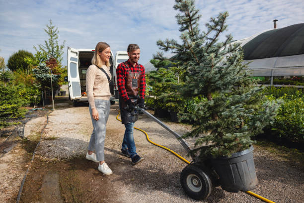 Tree Service Company in Golden Grove, SC